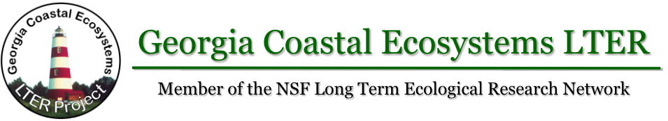 georgia_coastal_ecosystems_lter_20080321t140008